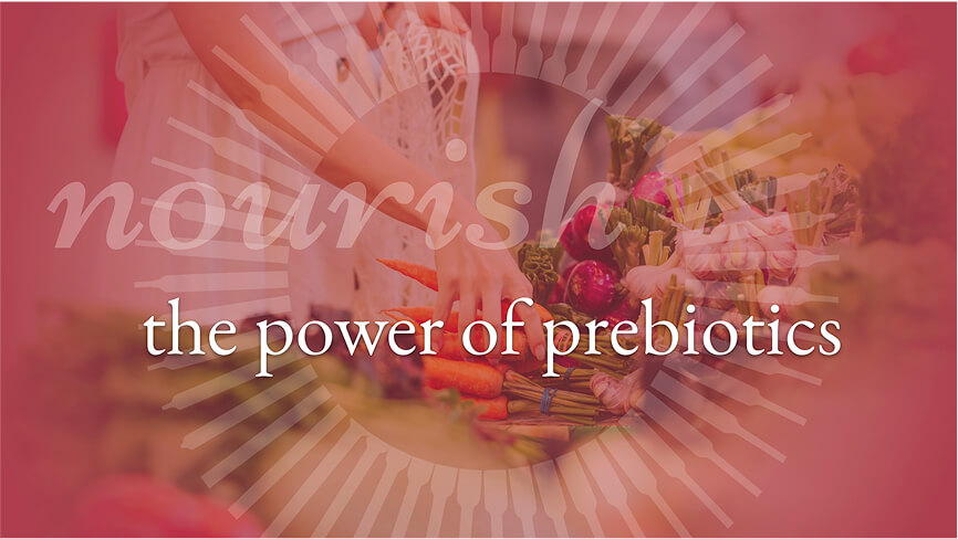 Power of prebiotics promotional image